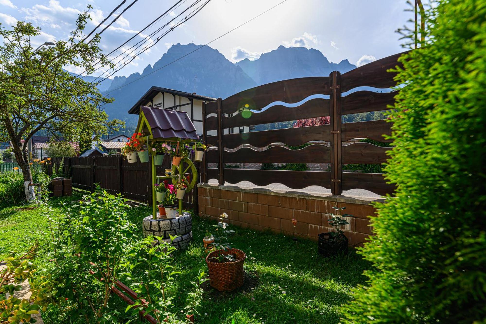 Casa Ramino Hotel Busteni Exterior photo